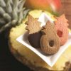 A Gift from the Honolulu Cookie Company with your JCB Card